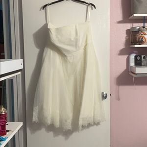 Dotted Tulle Plus Size Tea-Length Wedding Dress